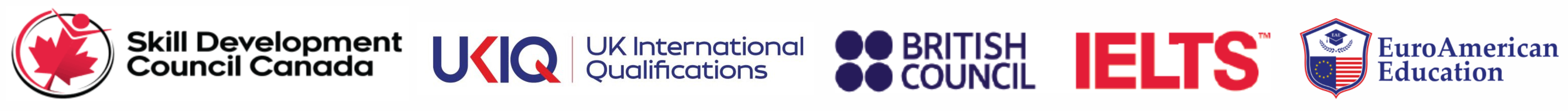 Logo 1